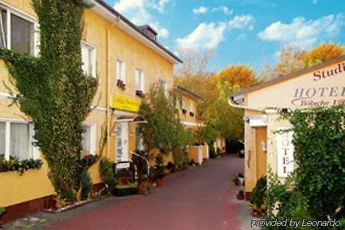 Bolsche 126 فندق